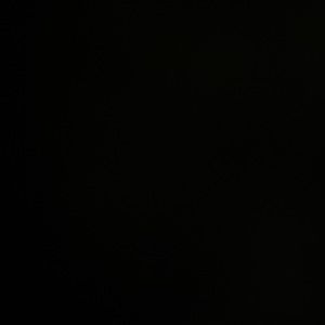 Meet your Posher, Albert